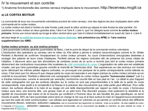 a) LE CORTEX MOTEUR