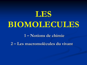 Les_biomolecules