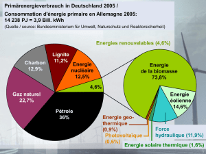 Energies renouvelables (4,6%)