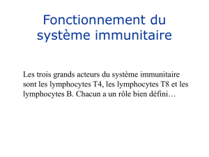 Fonctionnement du système immunitaire