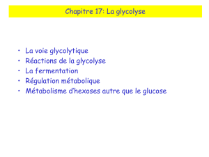 Biochimie générale BCHM1110