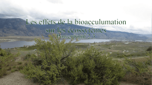 2.3, Les effets de la bioaccumulation sur les écosystèmes, PowerPoint