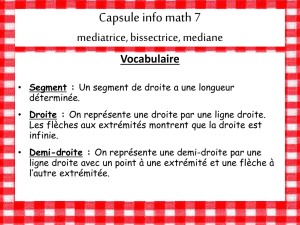 Mathématiques Capsule info 1