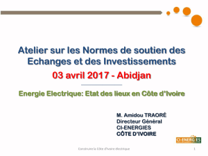 Energie Electrique: Etat des lieux en Côte d`Ivoire