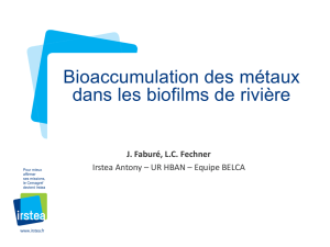 Bioaccumulation des métaux dans les biofilms de rivière