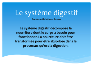 Le système digestif - L`École des Premières Lettres