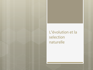 la-theorie-de-levolution-et-la-seleciton-naturelle