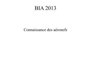 M2_BIA_2013_Connaissance_des_aeronefs