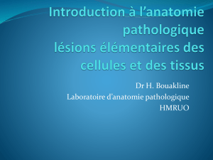Introduction à l*anatomie pathologique lésions élémentaires des