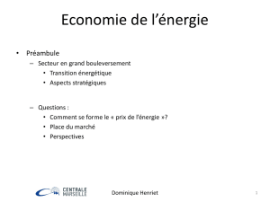 ecoener - Dominique Henriet Economie