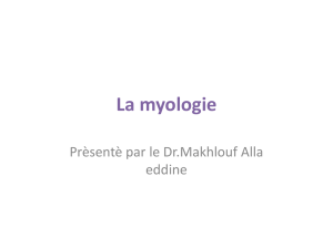 La myologie - professionalhealthcare