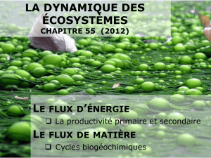 Cours 3-Flux energie et cycles biogéochimiques