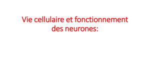 Vie cellulaire et fonctionnement des neurones