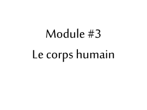 Module #3 Le corps humain
