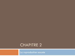 Chapitre 2 (powerpoint)
