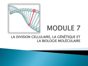 module 7 la division cellulaire, la génétique et la biologie moléculaire