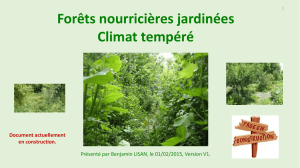 Forêts nourricières jardinées - Climat tempéré