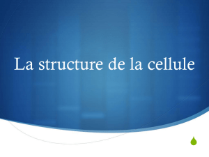 La structure de la cellule