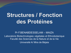 Structures / Fonction des Protéines - E