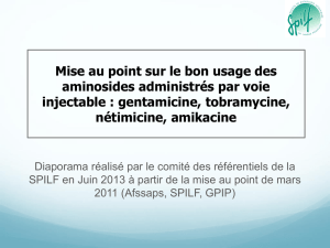SPILF-groupe_reco-aminosides-Afssaps-2011