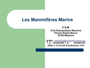 Télécharger - Club Subaquatique de Mayenne