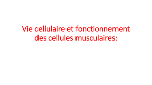 Vie cellulaire et fonctionnement des cellules musculaires:
