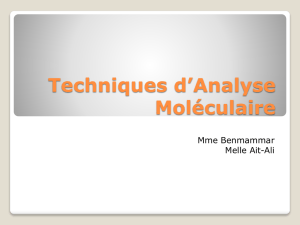 Techniques d*Analyse Moléculaire - E