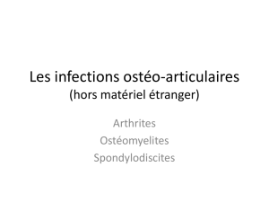 Infections ostéo-articulaires sans matériel