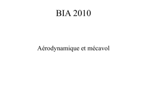M1_BIA_2010_Aero_mecavol