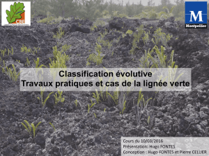 Classification évolutive Travaux pratiques et cas de