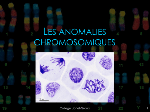Anomalies chromosomiques - Collège Lionel