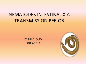Nématodes à transmission orale