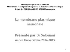 membrane plasmique neuronale