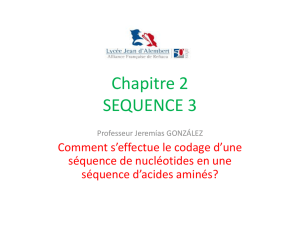 Chapitre 2 SEQUENCE 3