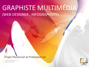 Graphiste multimédia (web-designer, infographiste)