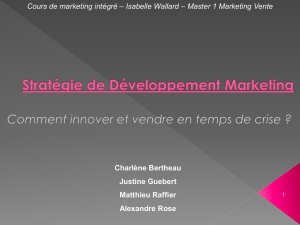 Stratégie de Développement Marketing