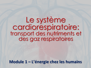 Le système cardiovasculaire : transport des - Collège Lionel
