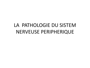 la pathologie du sistem nerveuse peripherique