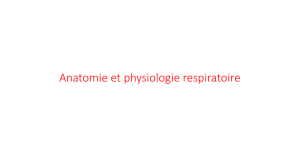Anatomie et physiologie respiratoire