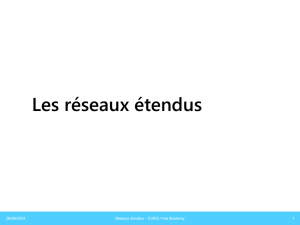 Les réseaux étendus