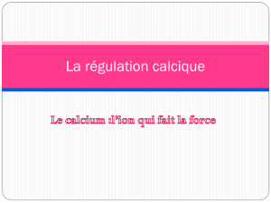 la_regulation_calcique_REGULATION CALCIQUE