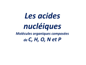 les_acides_nucleiques