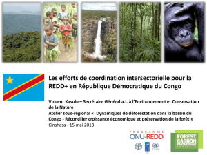 La Stratégie-cadre nationale REDD+ de la RDC