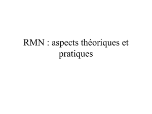RMN : aspects théoriques et pratiques
