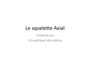Le squelette Axial - professionalhealthcare