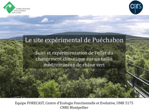 PUECHABON - Presentation - 6.07 Mo