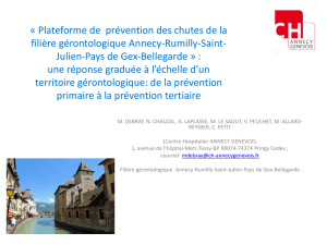 Plateforme de prévention des chutes de la filière