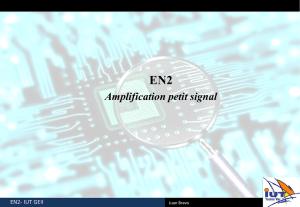 EN2- Amplification