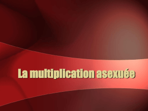 La multiplication sexuée - Le Site Web de Jeff O`Keefe
