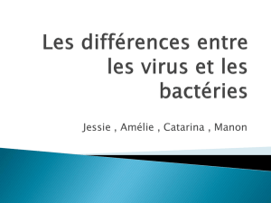 Les différences entre les virus et les bactéries